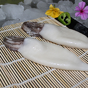 魷魚(yú)