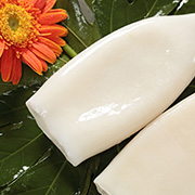 魷魚(yú)