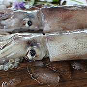魷魚(yú)